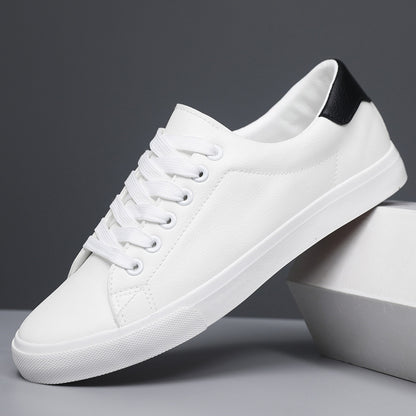 Breathable Mesh Surface Comfortable Men's Shoes Casual Multicolor Sneaker